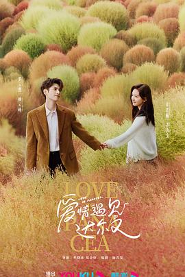 自动下载海报剧照