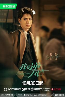 爱情斑马线版海报剧照